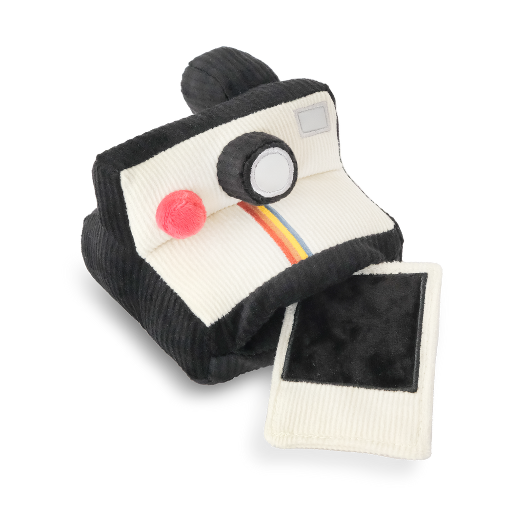 INSTANT CAMERA // ENRICHMENT DOG TOY
