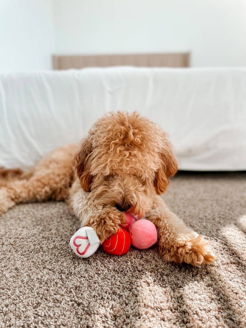 Midlee Valentine Plush Balls Dog Toy - Set of 6