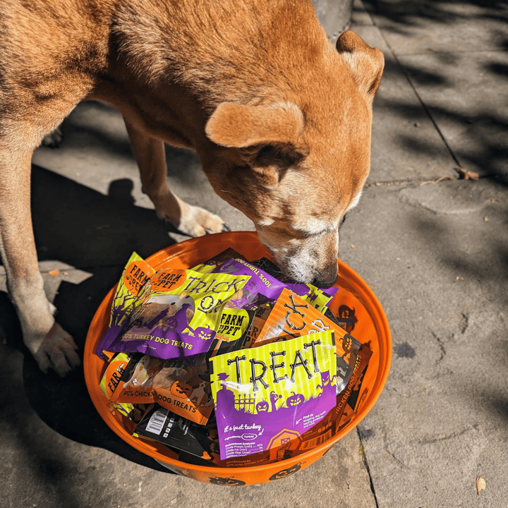 Halloween Chicken & Turkey Treats for Dogs & Cats