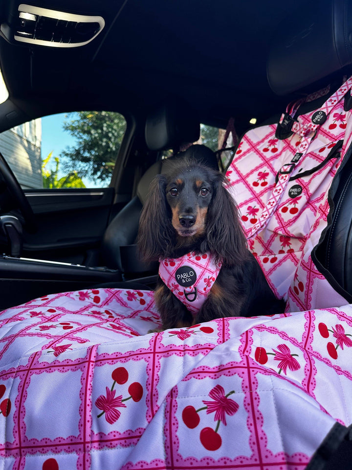 Ma chérie: Deluxe Single Car Seat Cover
