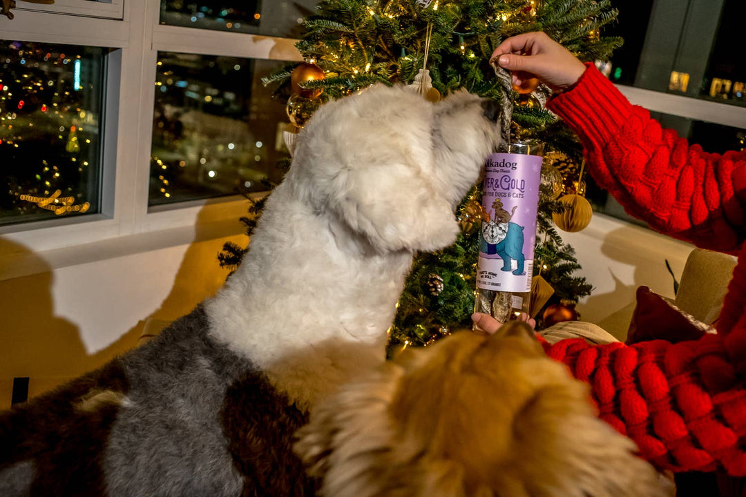 Silver & Gold - Holiday Dog Treats