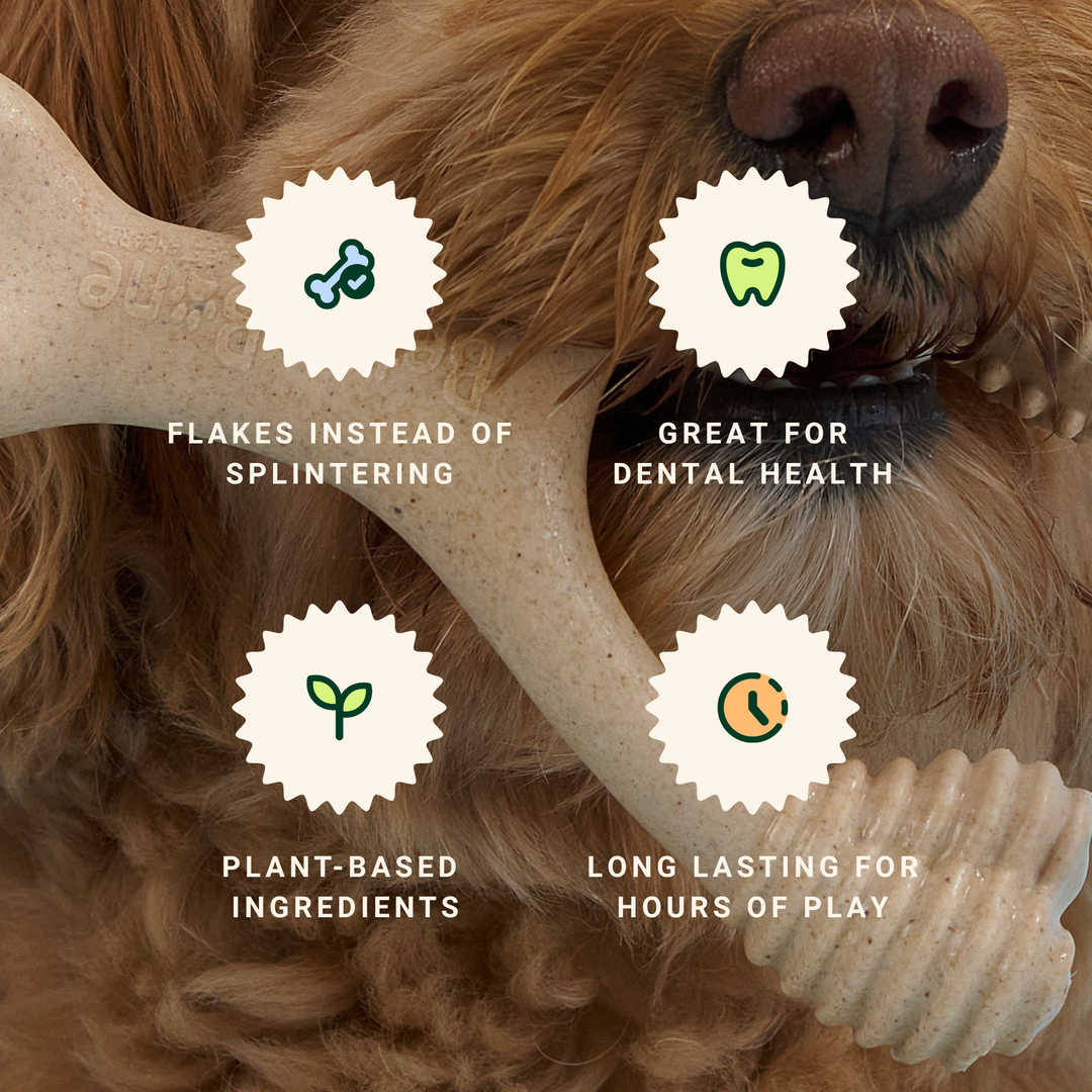 BetterBone Wishbone Plant Based Chew Toy