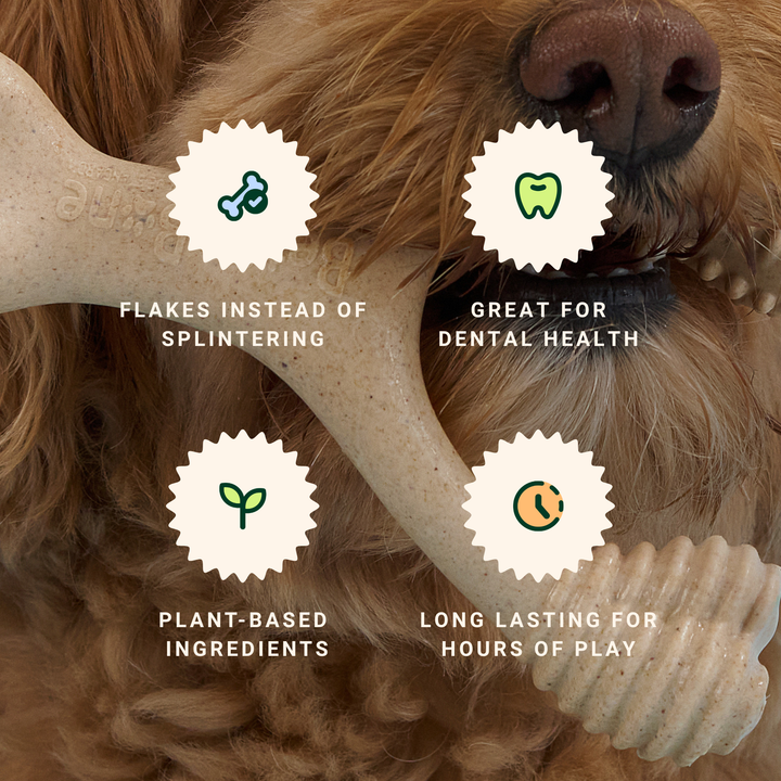BetterBone Wishbone Plant Based Chew Toy