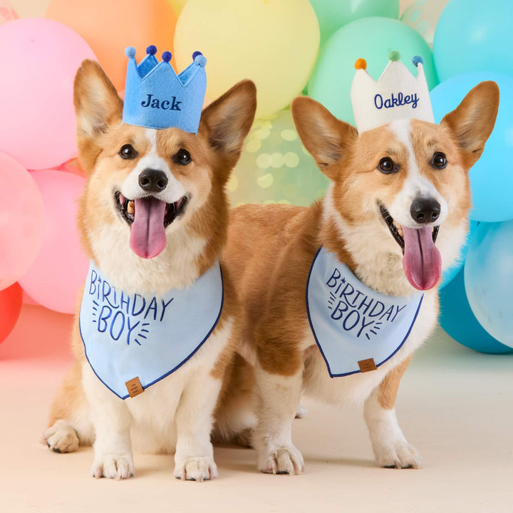 Birthday Boy Embroidered Dog Bandana