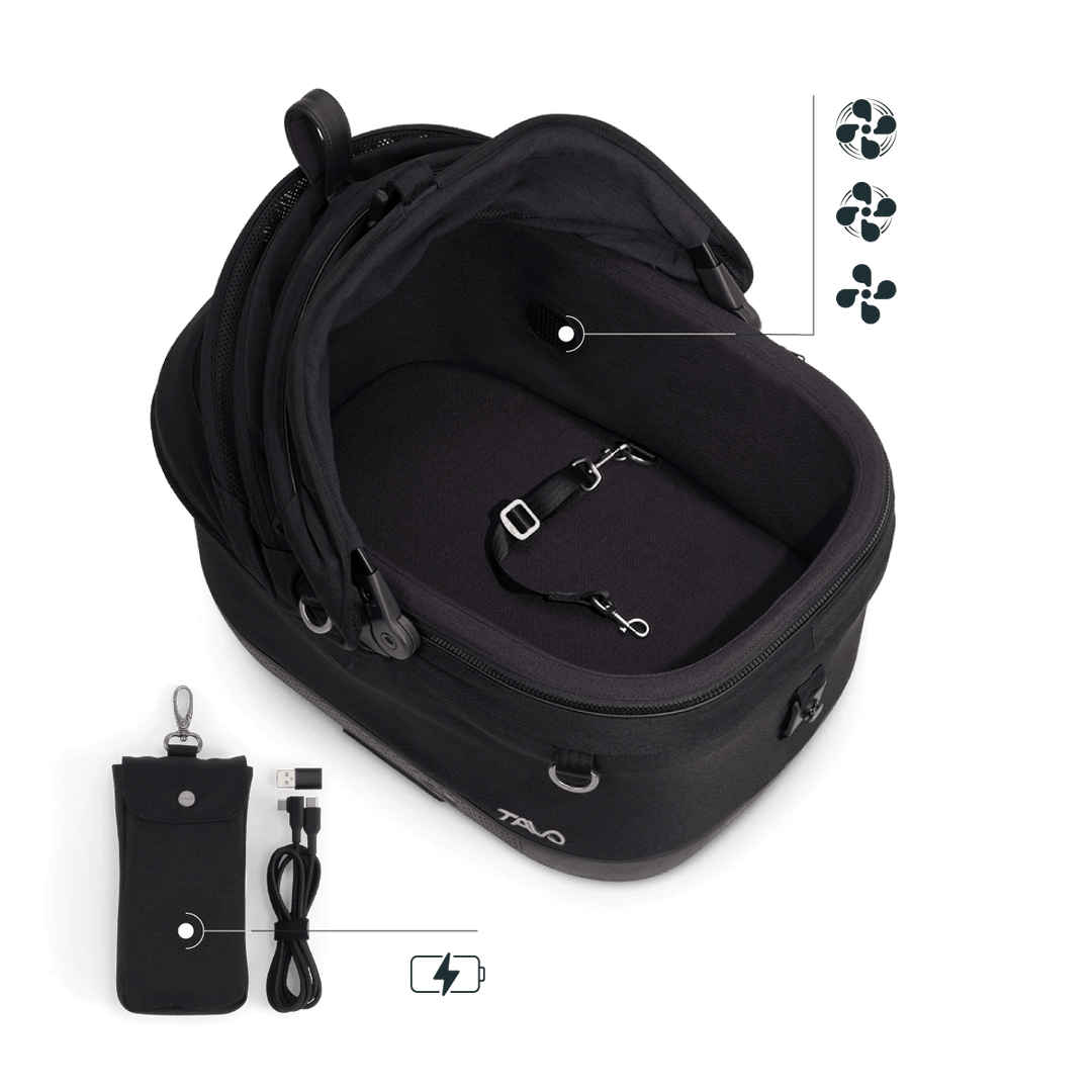 Maeve iso Wind