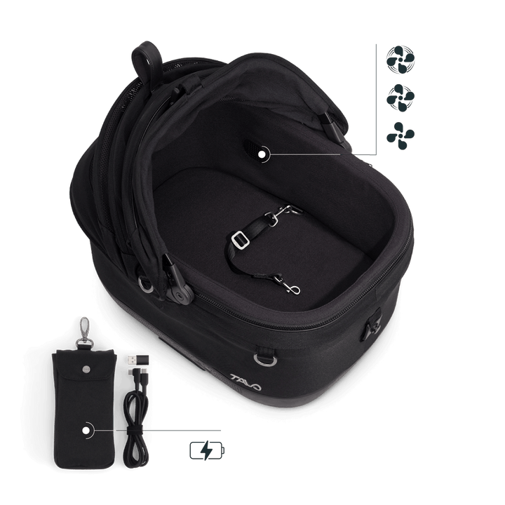 Maeve iso Wind