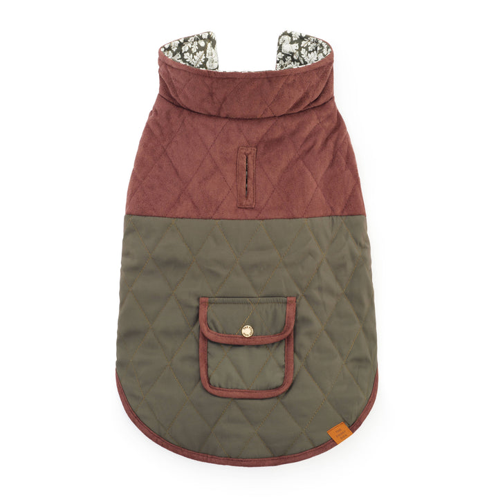 Olive Reversible Dog Jacket