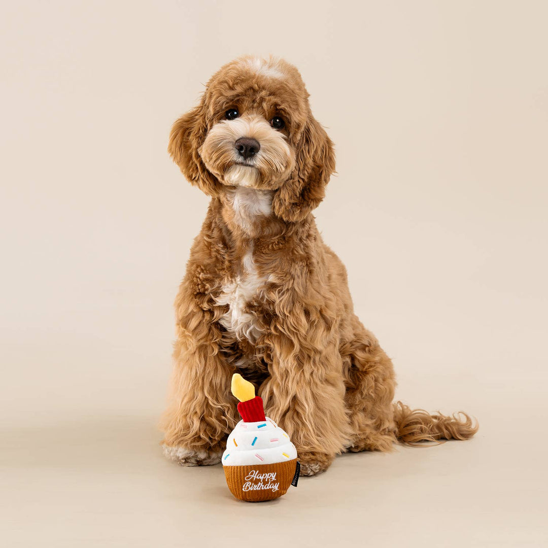 CHEWFFON Birthday Cupcake Dog Toy