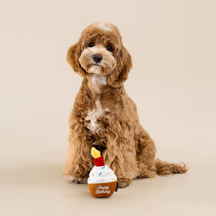 CHEWFFON Birthday Cupcake Dog Toy