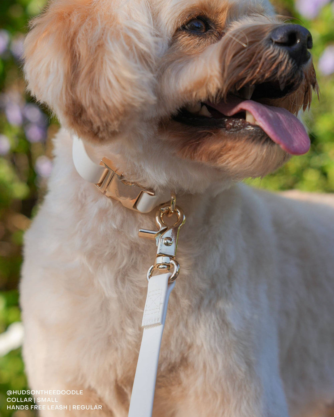 Waterproof Cloud Collar