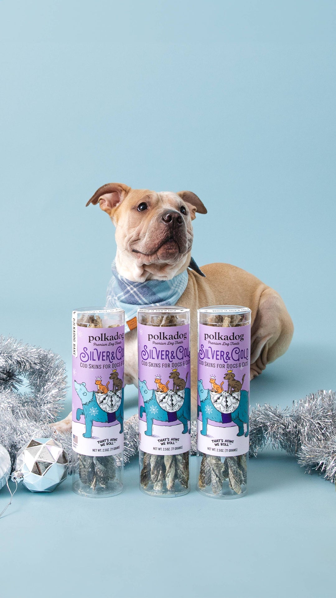 Silver & Gold - Holiday Dog Treats