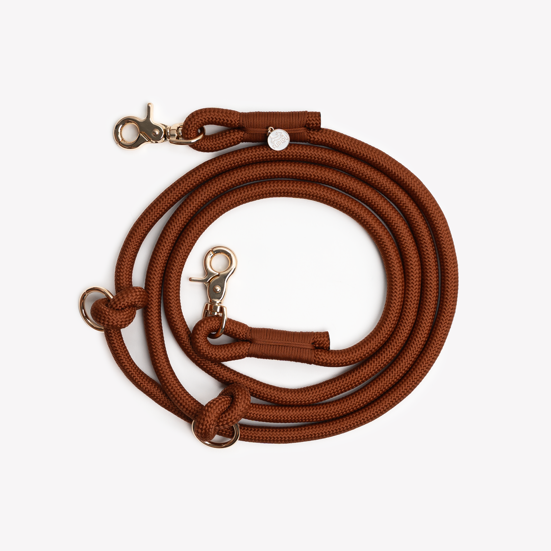 'Clay' - Hands Free Dog Braided Rope Leash