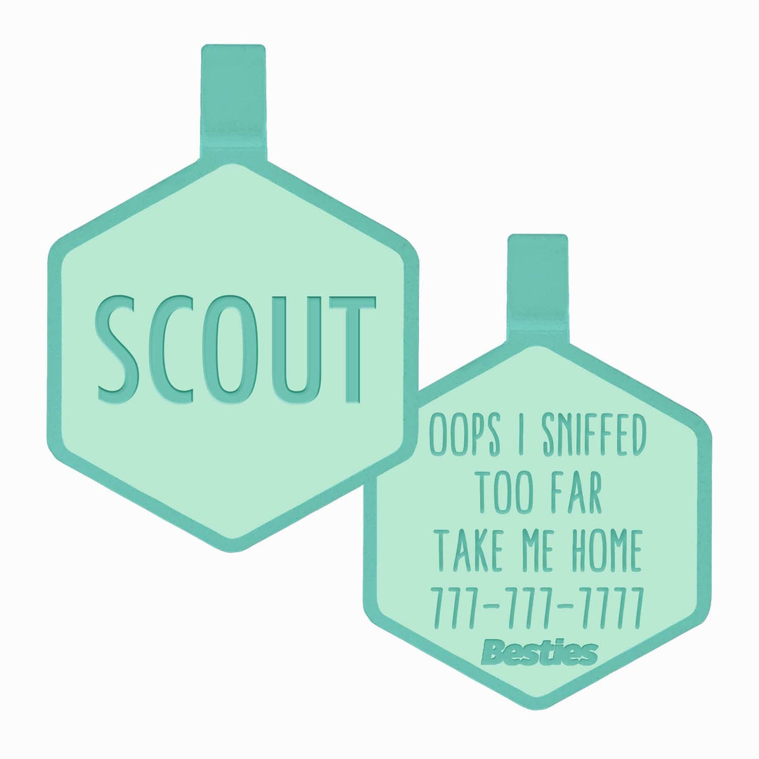 Caribbean Green Silicone ID Tag