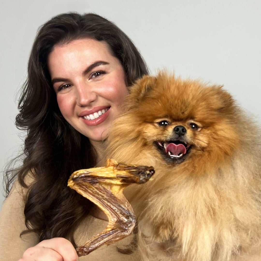 Duck Wing 20pc Bulk Dog Chew Natural Single Ingredient