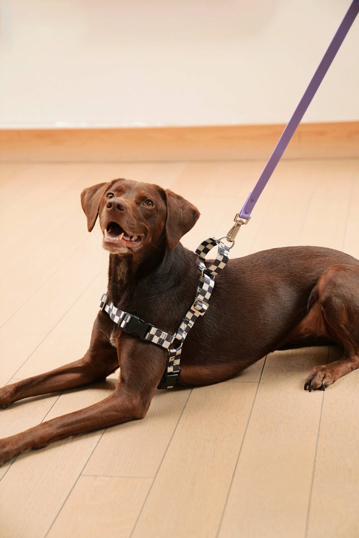 The Fritz Dog Harness | Adjustable, No-Pull & Reversible