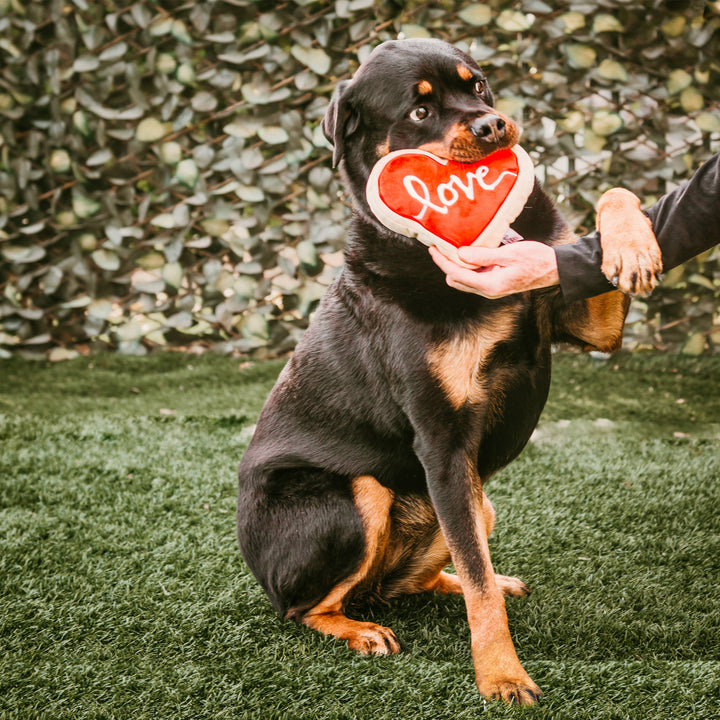 Midlee Red Heart Love Sugar Cookie