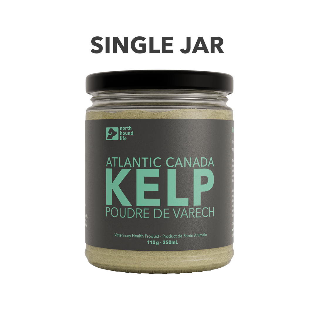 Organic Atlantic Canada Kelp