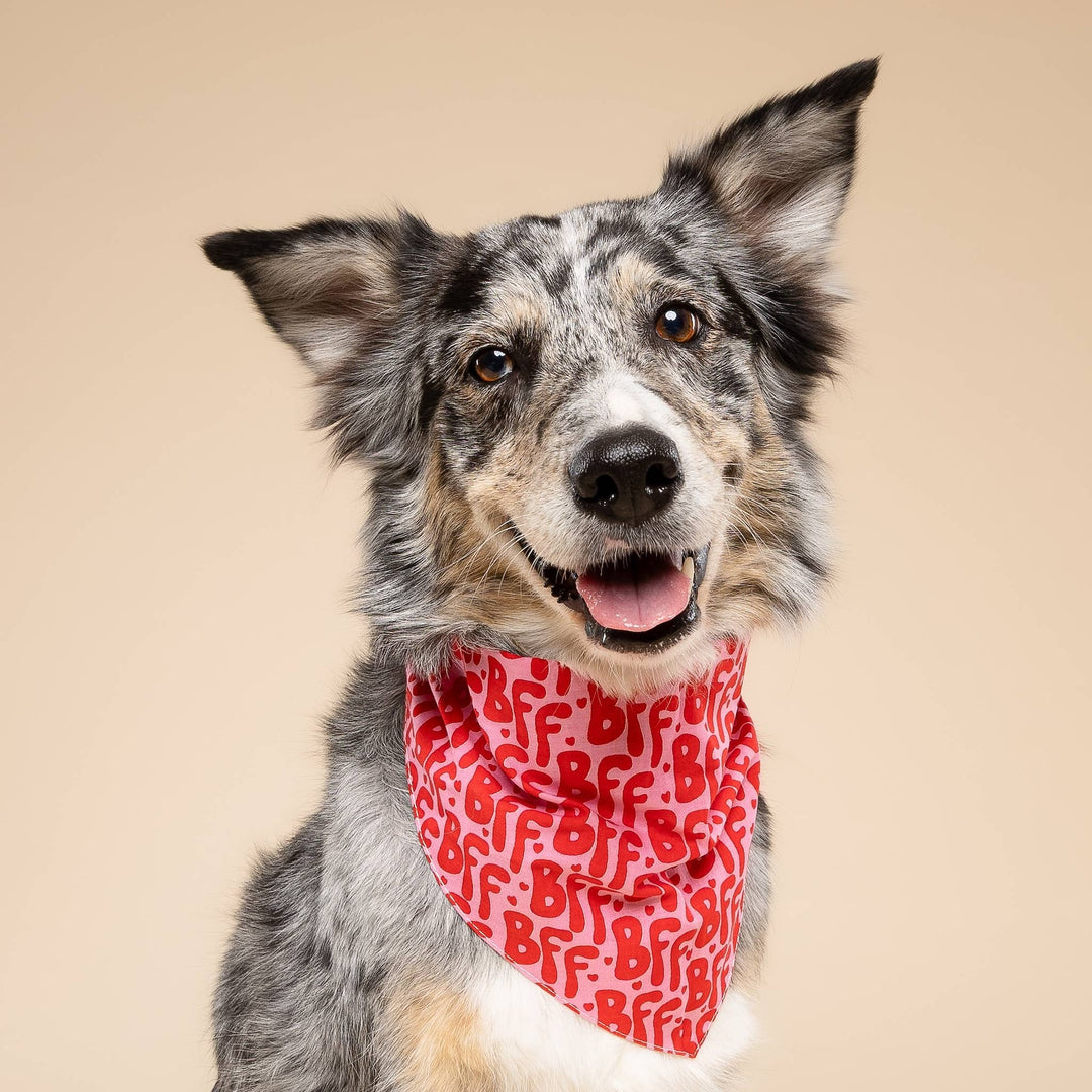 BFF Dog Bandana