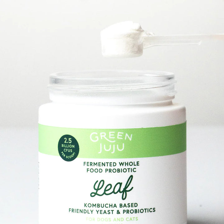 Green Juju Probiotics
