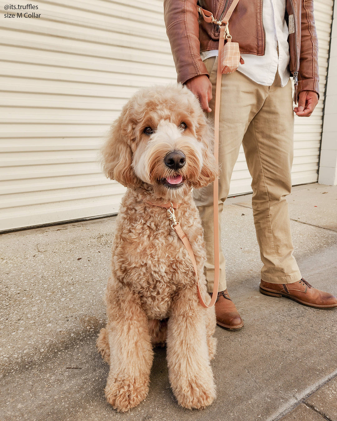 4-in-1 Hands-Free Convertible Cloud Leash