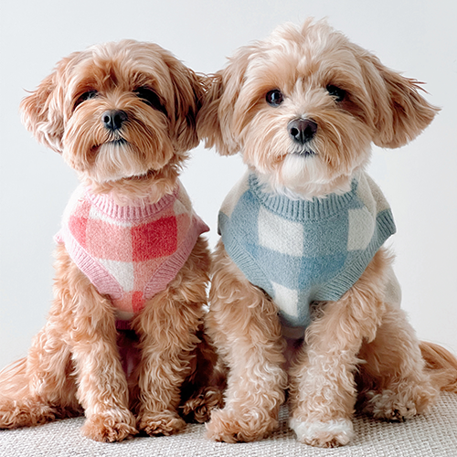 Bowwow Wow! Sweater