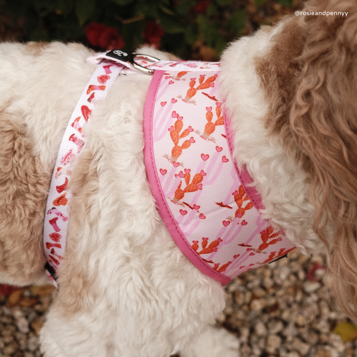 Howdy, Honey Reversible Harness