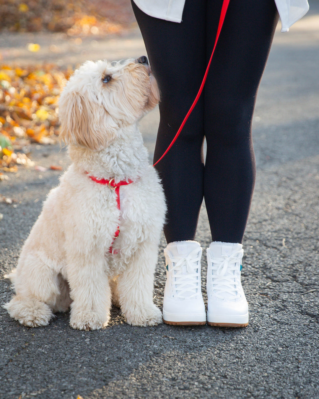 Cloud Lite Harness