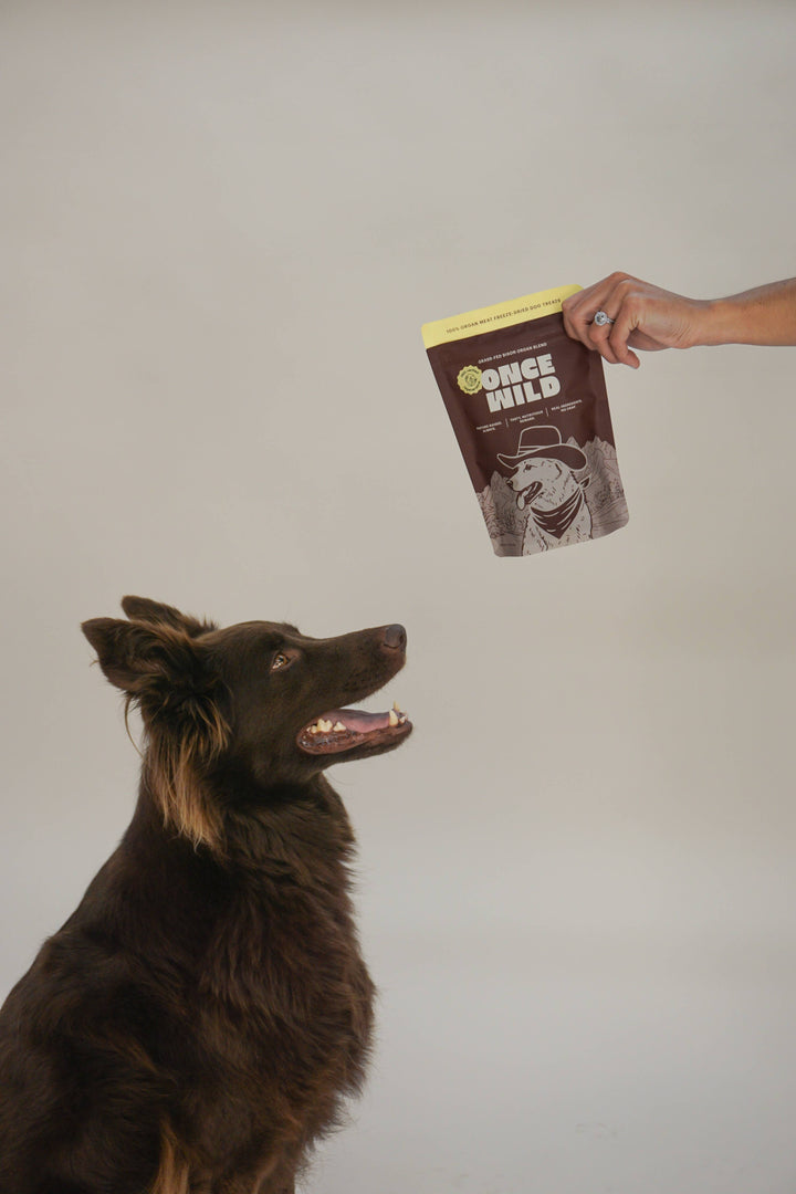 Bison Organ Blend Treats