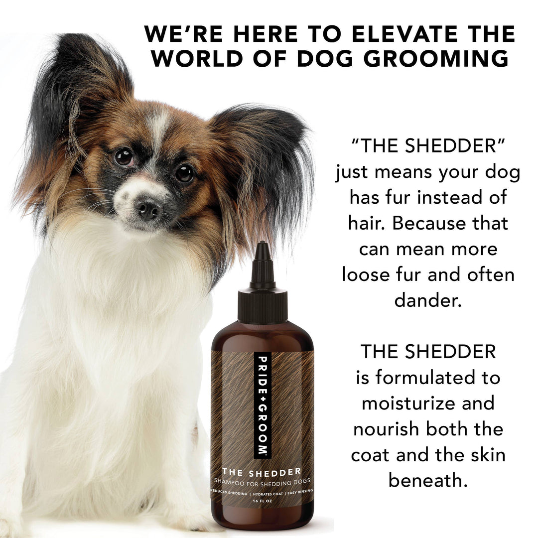 THE SHEDDER | SHAMPOO FOR DOGS WHO SHED