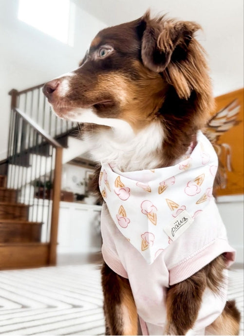 Ice Cream Bandana