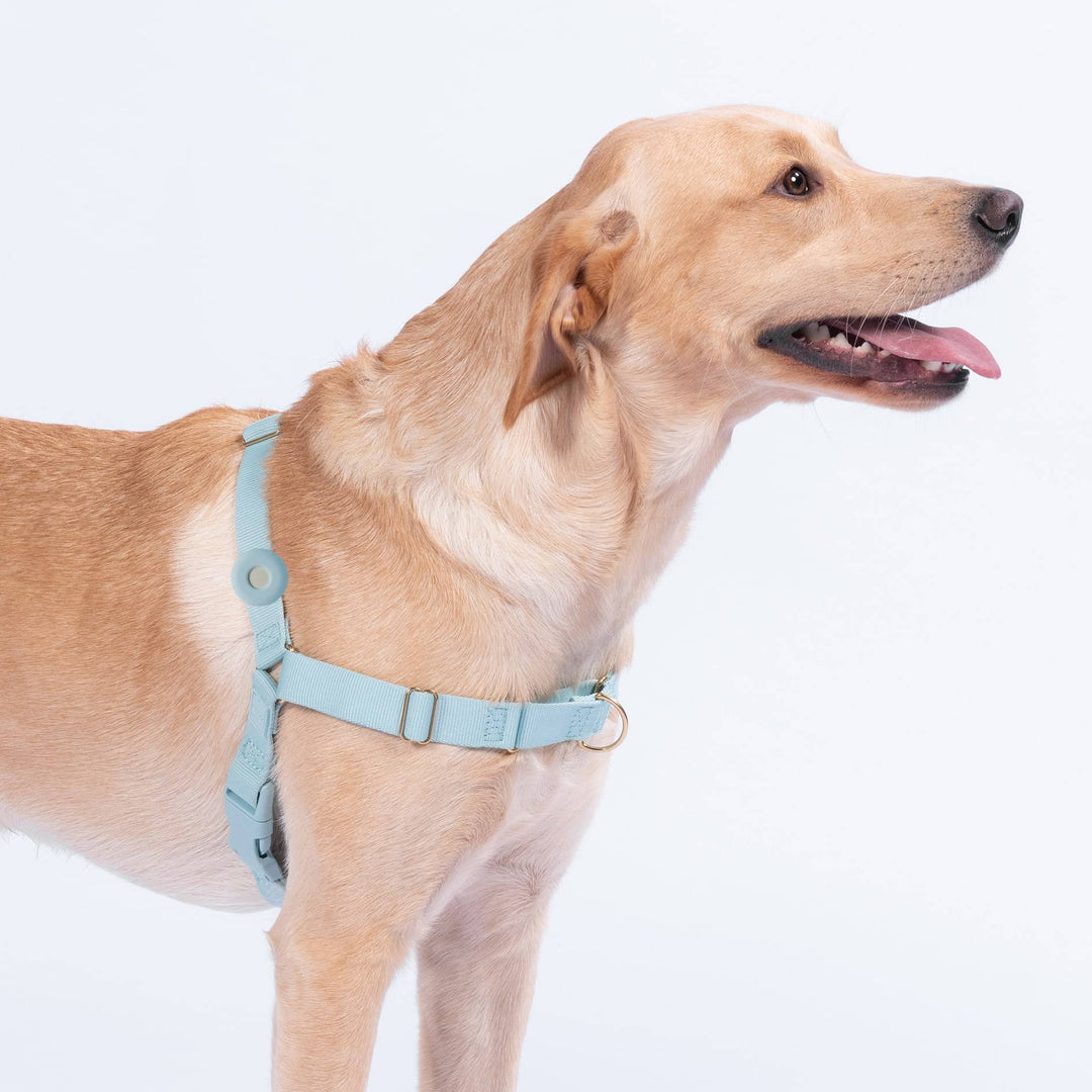 Fetch! AirTag Holder