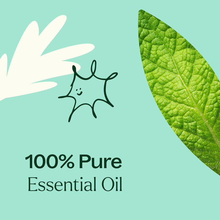 Tension Relief Essential Oil Blend 10 mL