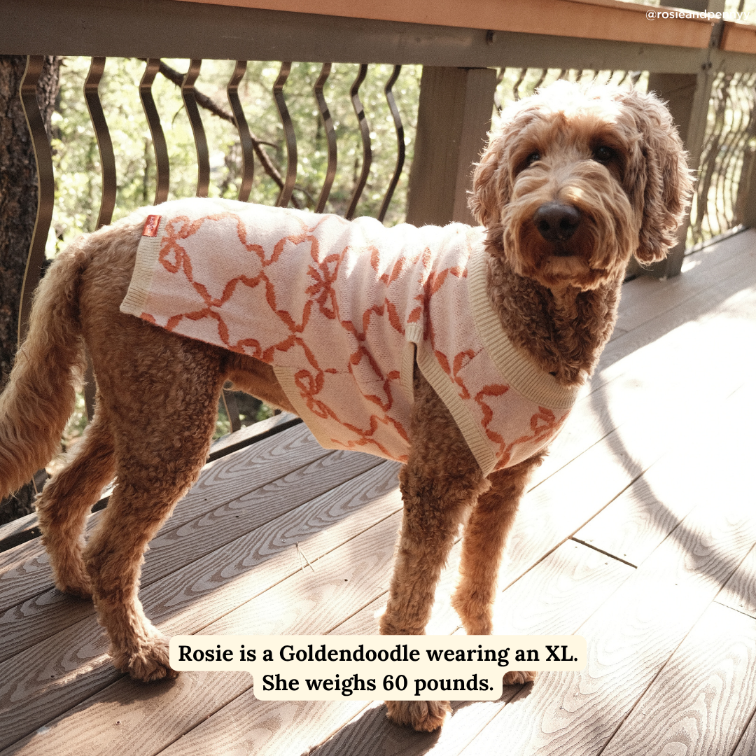 Coquette Ribbons Sweater