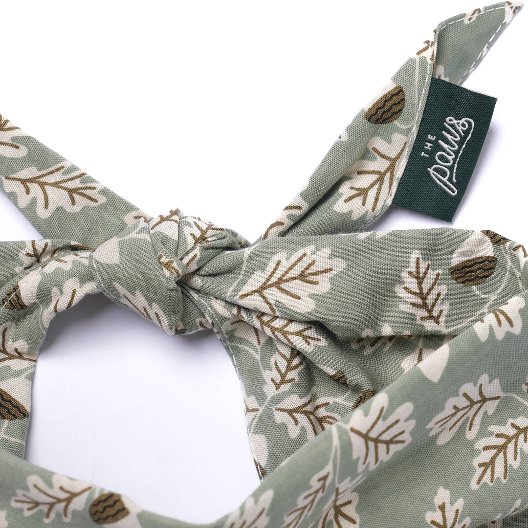 Boone Dog Bandana