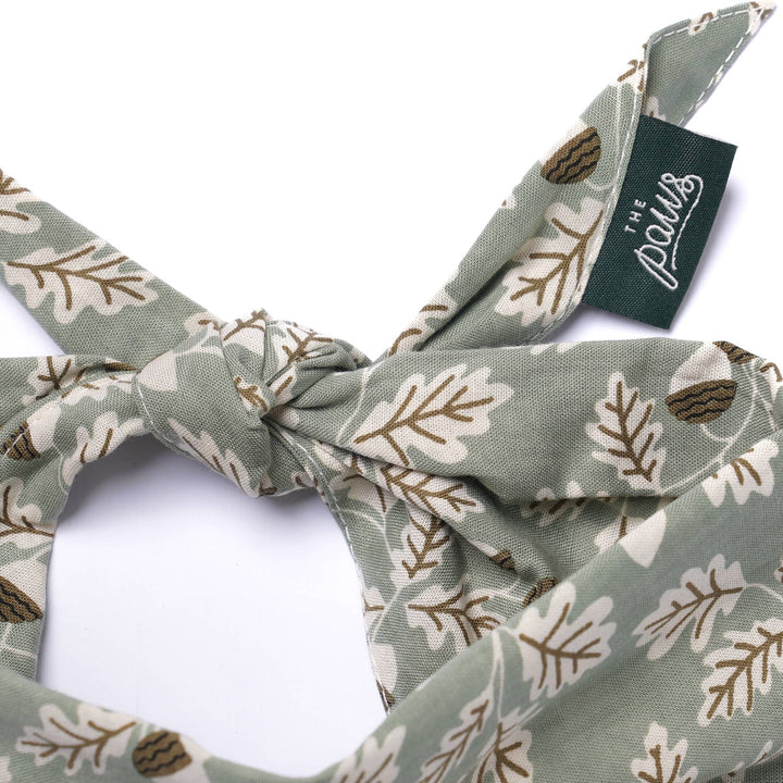 Boone Dog Bandana