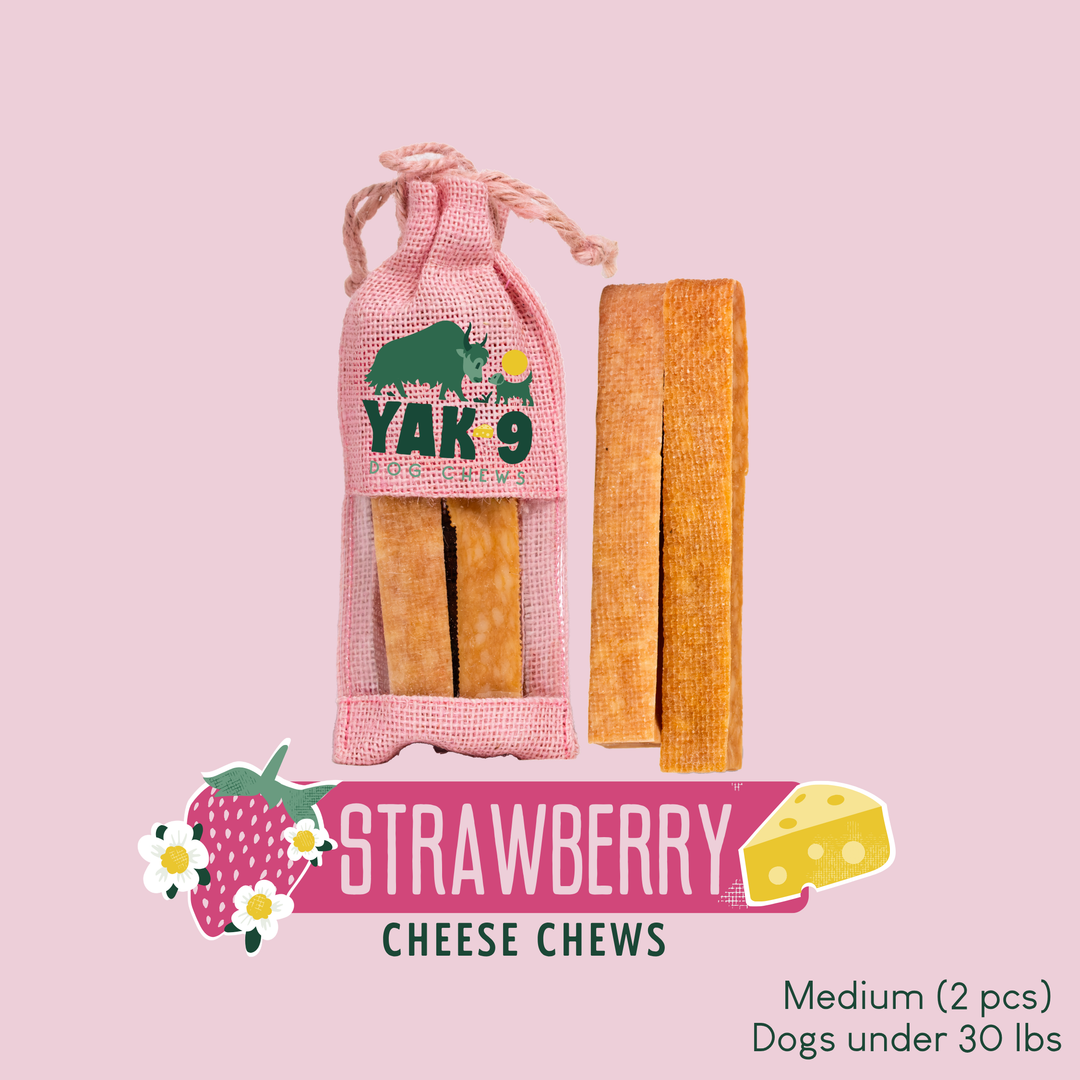 Yak Cheese Chew