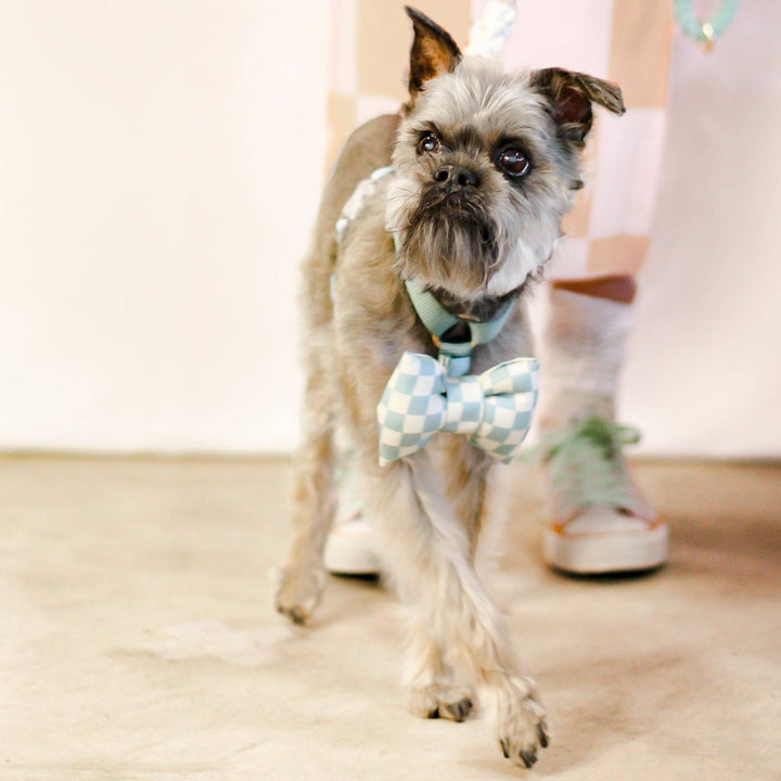 Bow Tie | Aqua Checkerboard