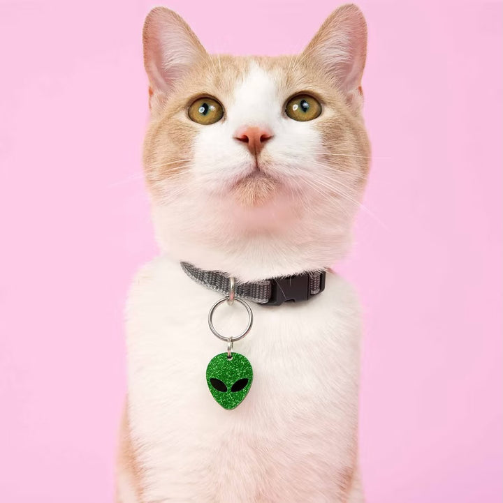 Kissamo Pet Tags