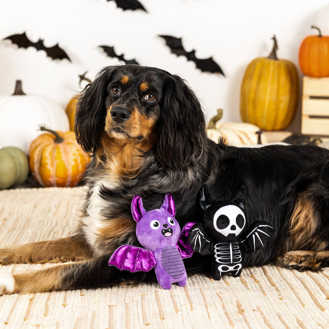 BAT TO THE BONE