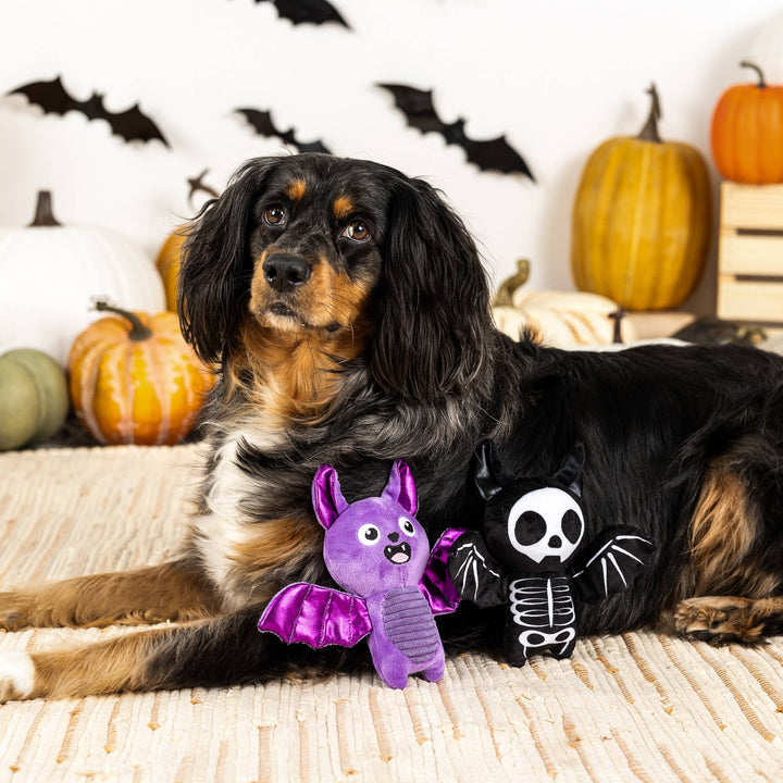 BAT TO THE BONE