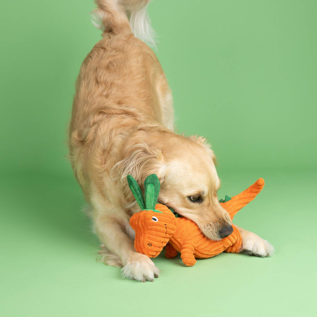 CARROT BOUT YOU PLUSH DOG TOY
