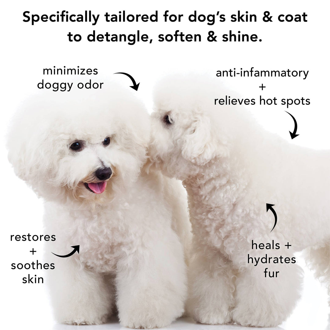 THE NON SHEDDER | SHAMPOO FOR DOGS WITH HAIR