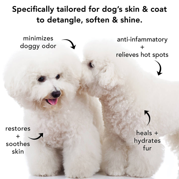 THE NON SHEDDER | SHAMPOO FOR DOGS WITH HAIR