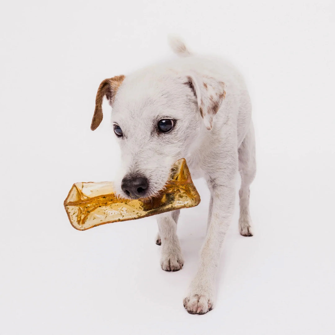 Wag & Bright - Pork Parsley Mighty Marrow