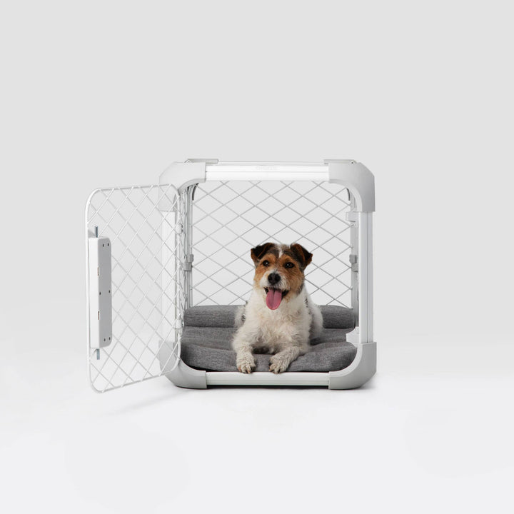 Evolv Dog Crate