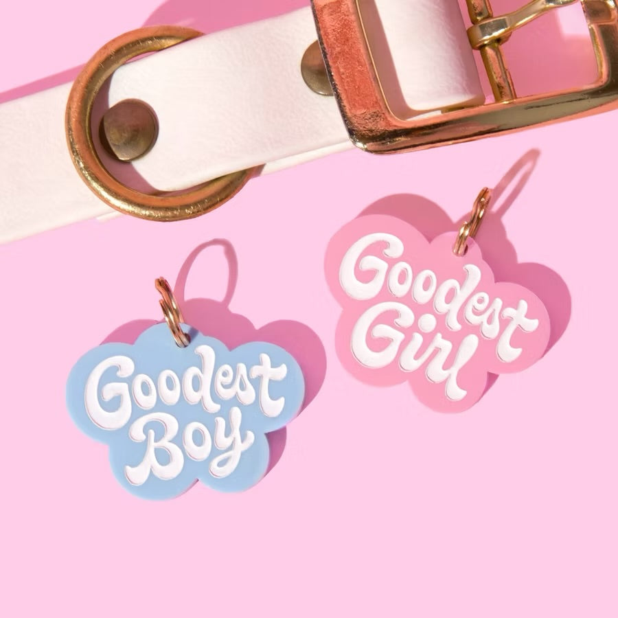 Kissamo Pet Tags