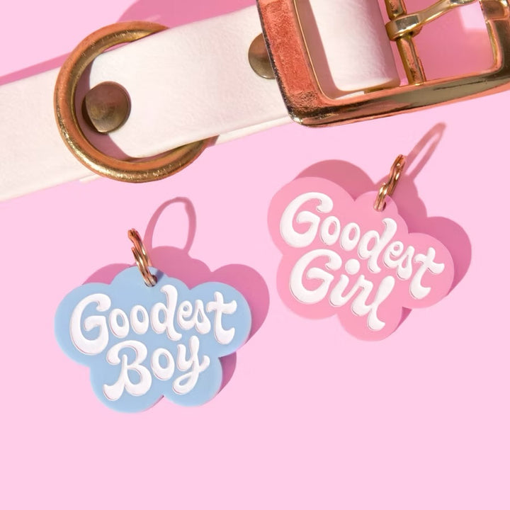 Kissamo Pet Tags