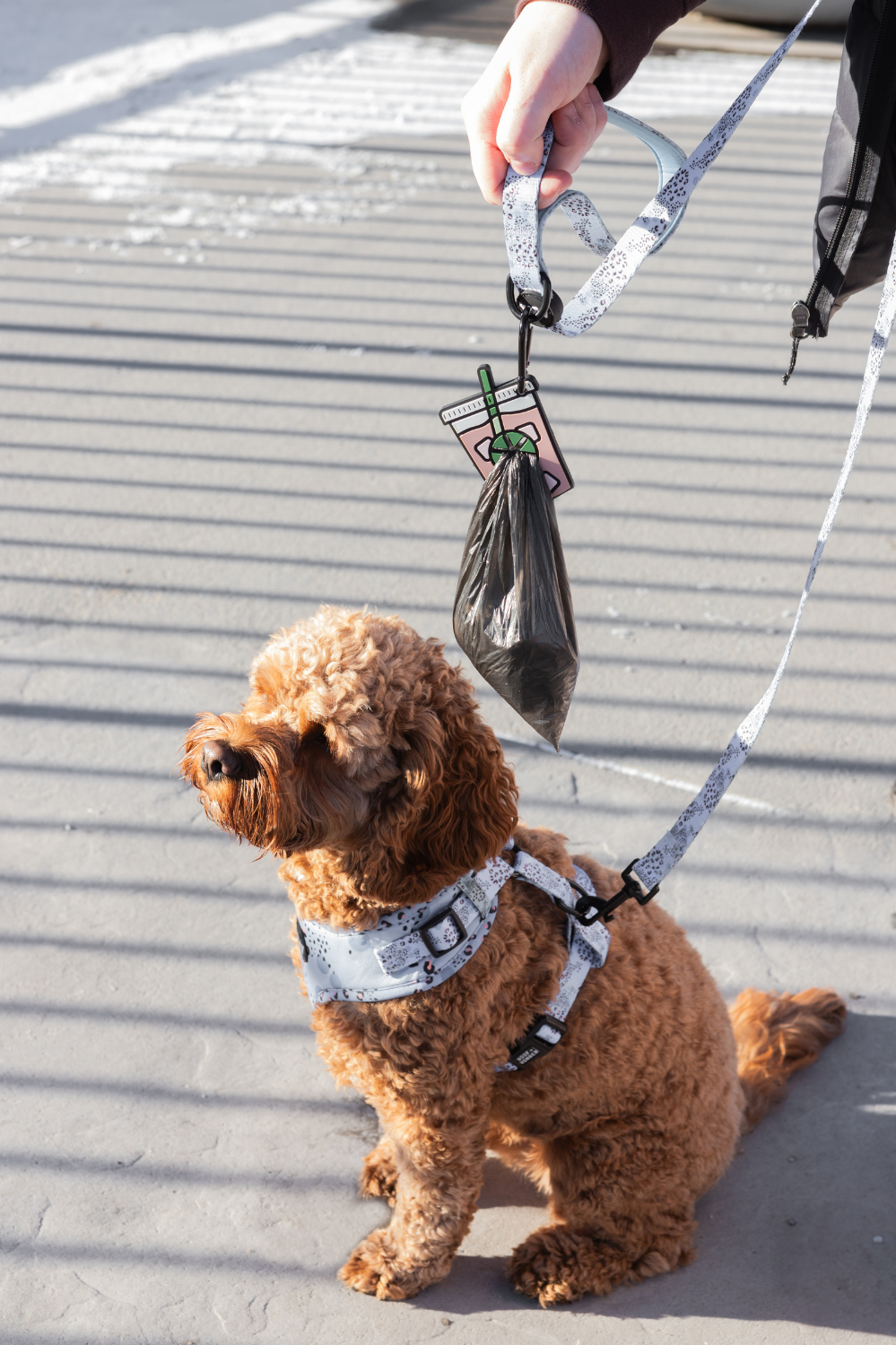 Iced Coffee Poopy Loop Dog Waste Bag Holder