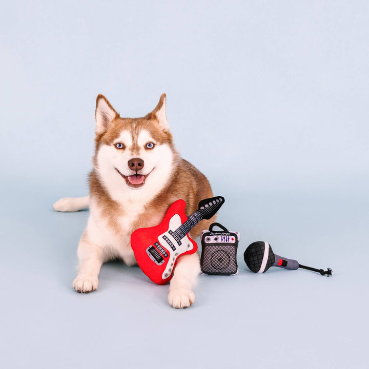 READY TO ROCK 3 PIECE MULTI PACK DOG TOY SET
