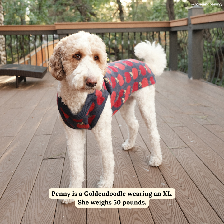 Appley Ever After Sweater